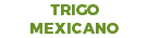 TRIGO MEXICANO
